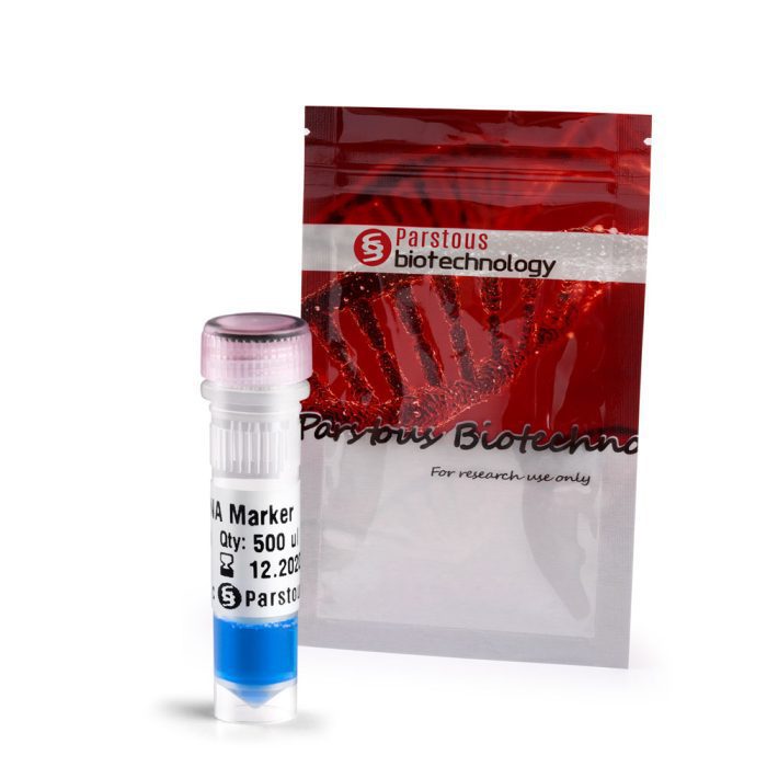 لدر DNA  100 bp - Image 2