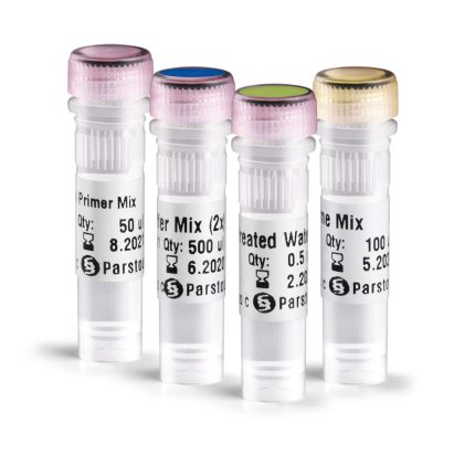 cDNA Synthesis Kit