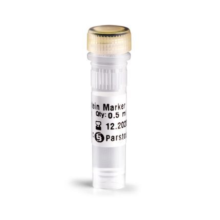Molecular Weight Protein Marker