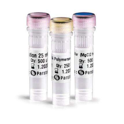 Taq DNA Polymerase