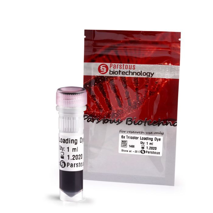 لودینگ سه رنگ DNA (6X) - Image 2