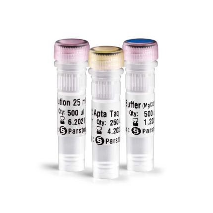 Hot Start Taq DNA Polymerase