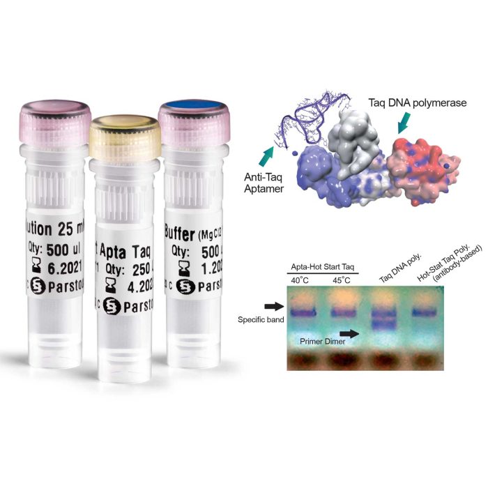 آنزیم DNA پلیمراز هات استارت Taq - آپتا - Image 3