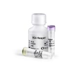 BCA Protein Quantification Kit