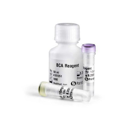 BCA Protein Quantification Kit