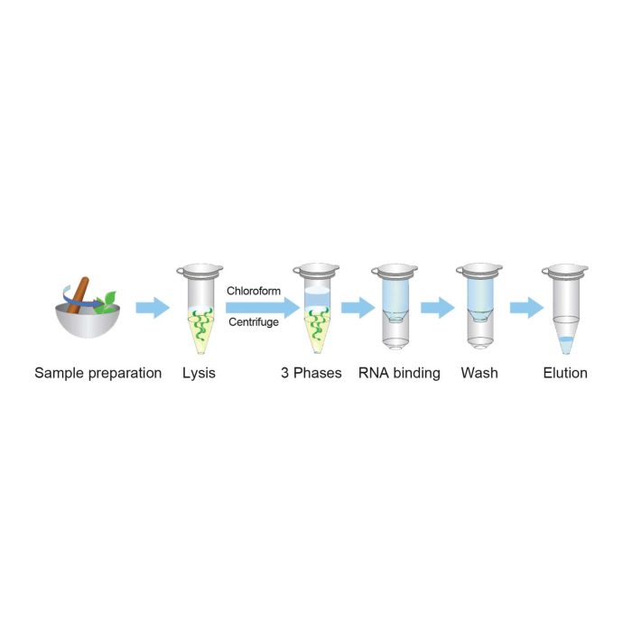 کیت استخراج RNA  گیاهان - Image 2