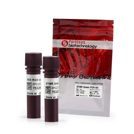 SYBR Green Real Time PCR Master Mix