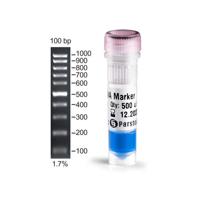 100bp DNA Marker