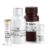 Blood RNA Extraction Kit