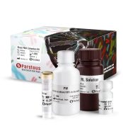 Blood RNA extraction Kit - 2
