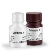 Chemiluminescence Detection Kit