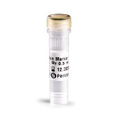 Molecular Weight Protein Marker