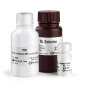 Total RNA Extraction Kit