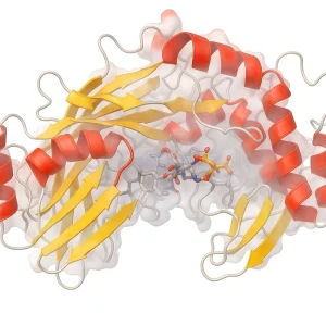 cDNA Synthesis Kit - 10