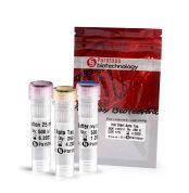 Hot-start Taq DNA polymerase - Apta - 2