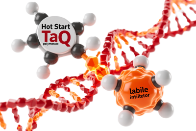 Hot Start Taq DNA Polymerase - 3