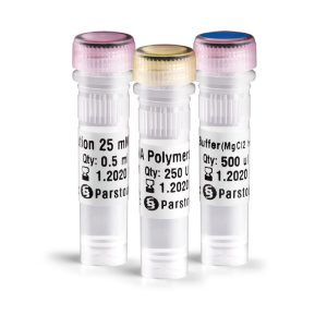 Spidi pfu DNA Polymerase - 2