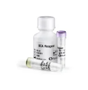 BCA Protein Quantification Kit - 10