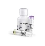 BCA Protein Quantification Kit