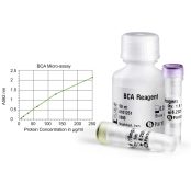BCA Protein Quantification Kit - 2