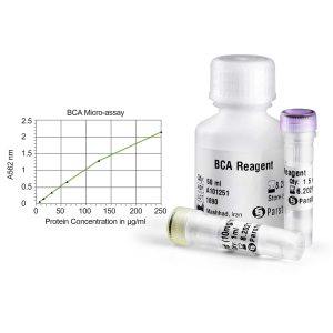 BCA Protein Quantification Kit - 2