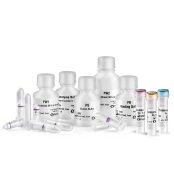 Bacteria DNA Extraction Kit - 2