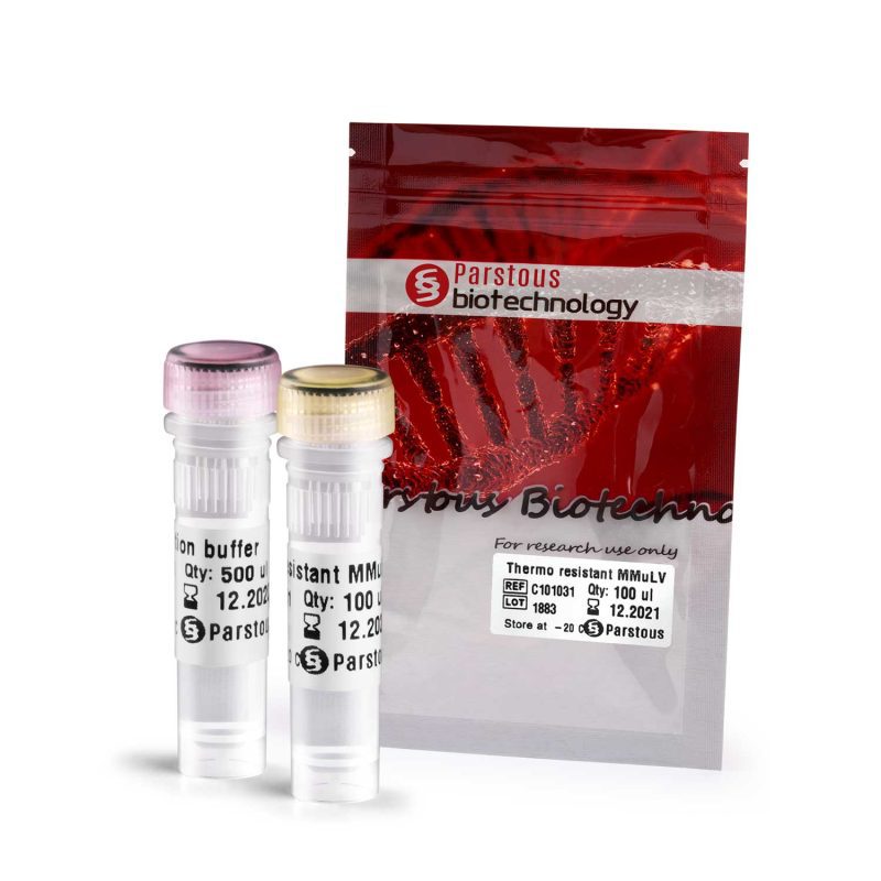 Reverse Transcriptase - 2