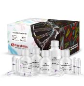 Tissue Genomic DNA Extraction Kit