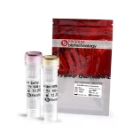 MMLV Reverse Transcriptase - Package