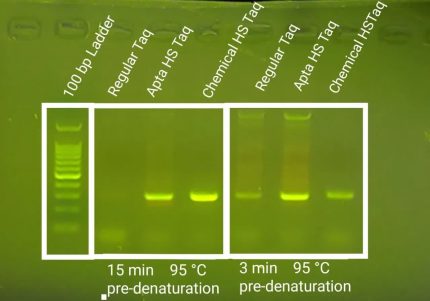 آنزیم DNA پلیمراز هات استارت Taq - شیمیایی