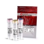 Hot Start Taq - Chemical