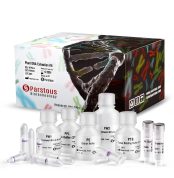 Plant DNA Extraction Kit