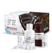 Plant RNA extraction Kit
