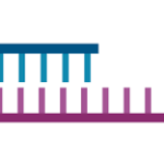 کیت و آنزیم های QPCR