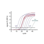 SYBR Green Real Time PCR Master Mix - 2