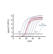 SYBR Green Real Time PCR Master Mix - 2