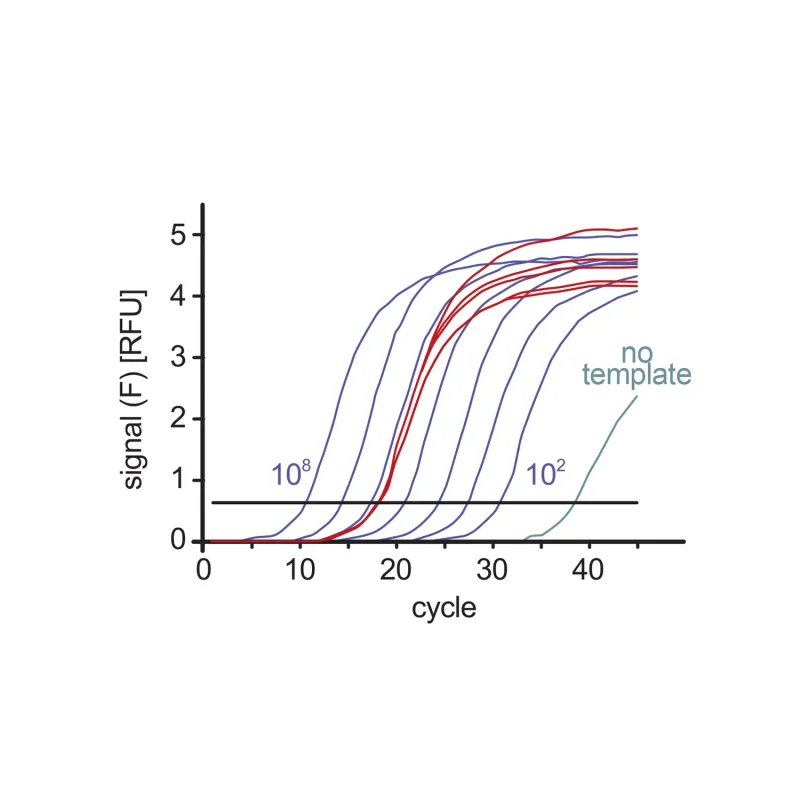 SYBR Green Real Time PCR Master Mix - 2